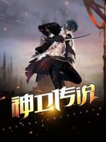 神卫传说