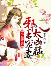 腹黑王爷：傲娇妃