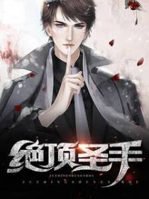绝顶圣手