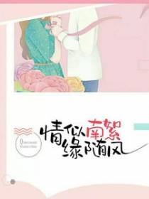 情似南絮缘随风