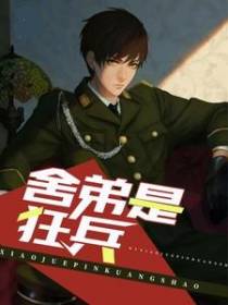 舍弟是狂兵