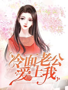 冷面老公爱上我