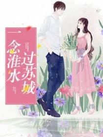 一念淮水过苏城
