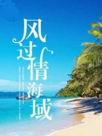 风过情海城