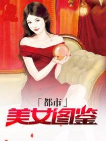 都市美女图鉴