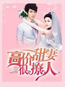 高价甜妻很撩人