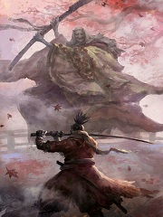 从只狼开始的剑圣之旅