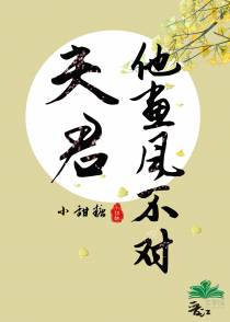 夫君他画风不对
