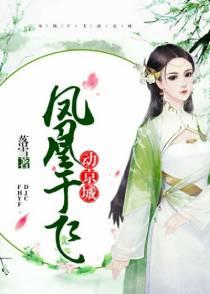 凤凰于飞动京城