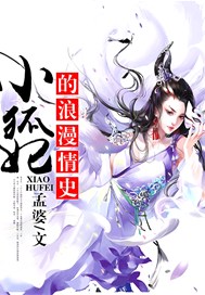 小狐妃的浪漫情史