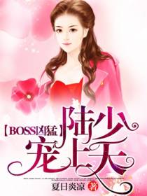 陆少宠妻要上天