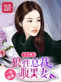 我与总裁的千般缠绵