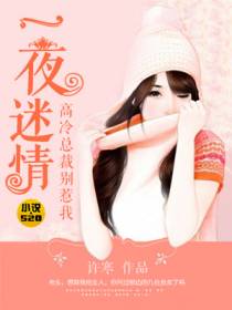 帝少的甜心女佣