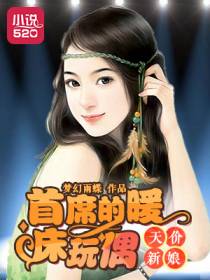 天价新娘：首席的暖床玩偶