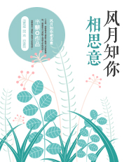 我的少帅大人
