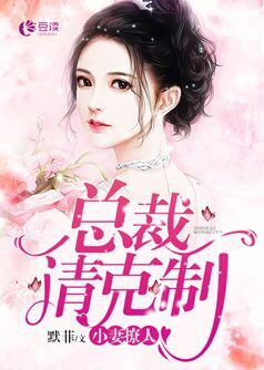 总裁撩人二婚妻