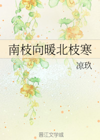 南枝向暖北枝寒