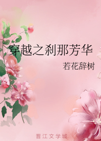 穿越之刹那芳华+番外