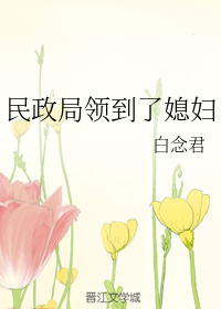 民政局领到了媳妇