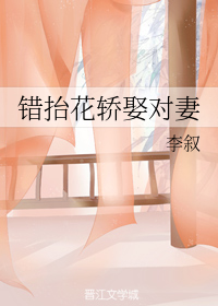 错抬花轿娶对妻