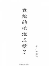 我捡的破烂成精了-异闻录