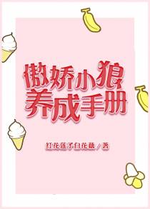 傲娇小狼养成手册