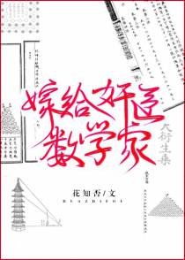 嫁给奸臣数学家