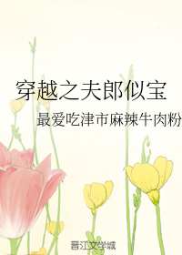 穿越之夫郎似宝