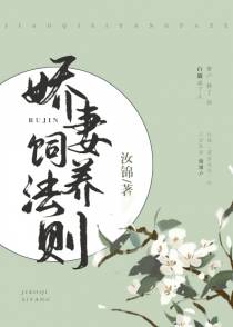 娇妻饲养法则