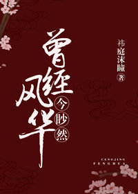 曾经风华今眇然+番外