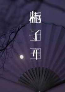 栀子开【CP完结】