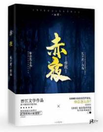 赤夜[刑侦]