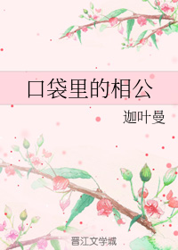 口袋里的相公