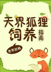 天界狐狸饲养指南