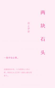 两块石头