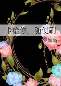 卡给你，随便刷