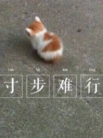 寸步难行