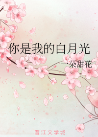 你是我的白月光