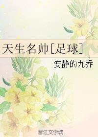 天生名帅[足球]