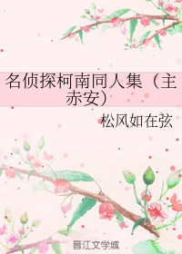 名侦探柯南同人集（主赤安）