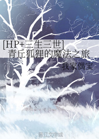 青丘狐狸的魔法之旅
