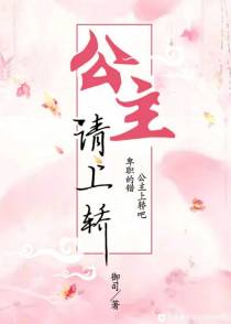 公主请上轿