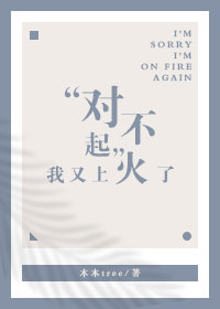 对不起，我又上火了