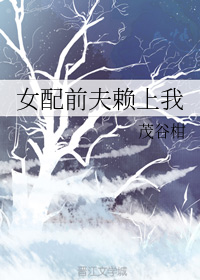 女配前夫赖上我