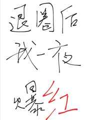 退圈后我一夜爆红了