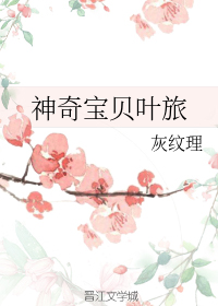 神奇宝贝叶旅