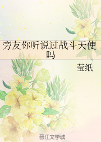 旁友你听说过战斗天使吗