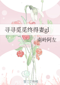 寻寻觅觅终得妻gl