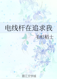 电线杆在追求我