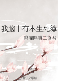 我脑中有本生死簿
